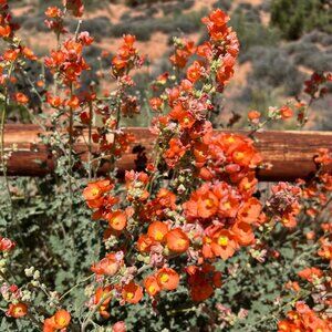 Meet your Posher, Jean